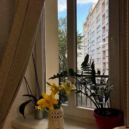 House * קרקוב